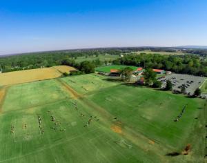 Soccer Field